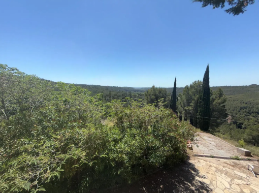 Captura de pantalla 2026-03-13 101743