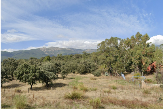 Captura de pantalla 2026-04-16 103543