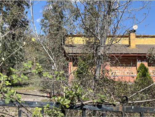 Captura de pantalla 2026-04-16 103614