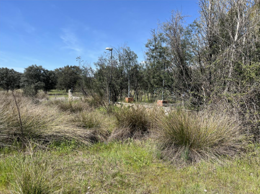 Captura de pantalla 2026-04-16 103644