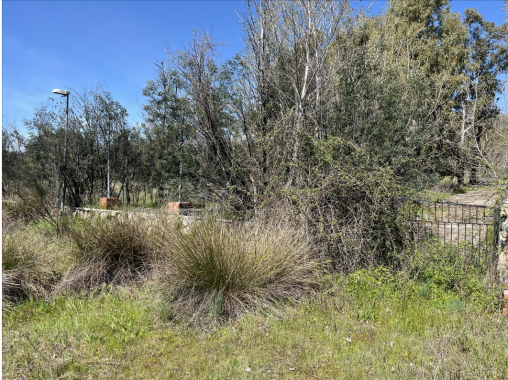 Captura de pantalla 2026-04-16 103654