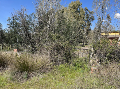 Captura de pantalla 2026-04-16 103704