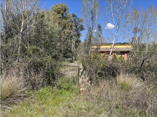 Captura de pantalla 2026-04-16 103714