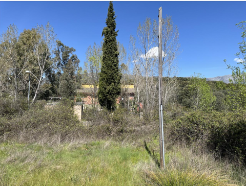 Captura de pantalla 2026-04-16 103735