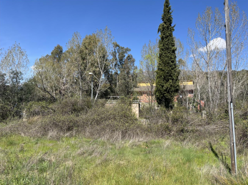 Captura de pantalla 2026-04-16 103745