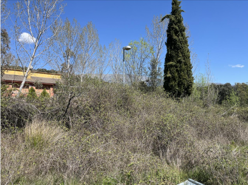 Captura de pantalla 2026-04-16 103826