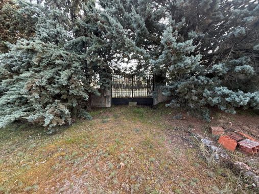 PHOTO-2026-04-09-12-03-45