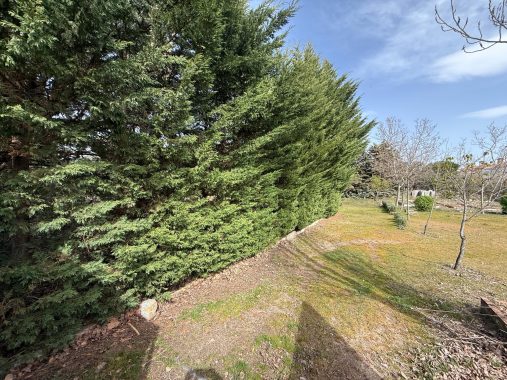 PHOTO-2026-04-09-12-03-45_5