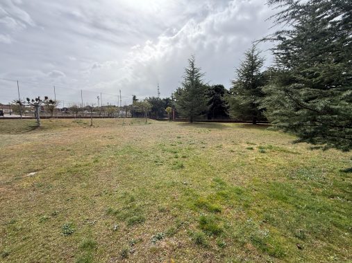 PHOTO-2026-04-09-12-19-04_2