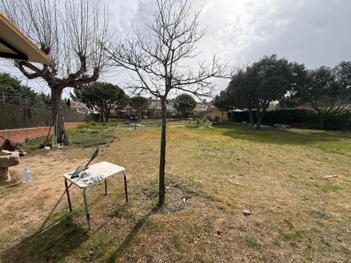 PHOTO-2026-04-09-12-20-08_2