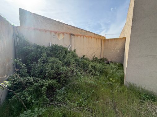 PHOTO-2026-04-20-18-06-46_1