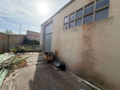 PHOTO-2026-04-20-18-06-46_2