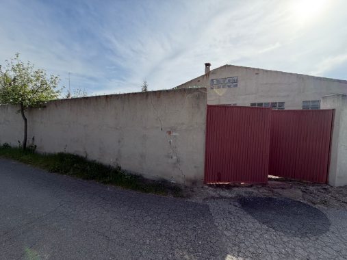 PHOTO-2026-04-20-18-06-49(1)