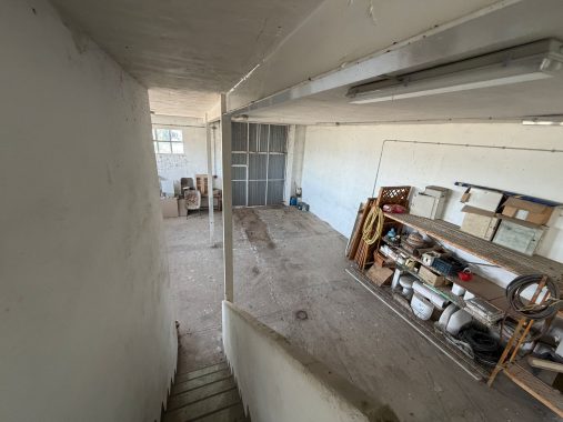 PHOTO-2026-04-20-18-06-50_1