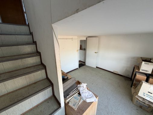 PHOTO-2026-04-20-18-06-52_1