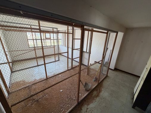 PHOTO-2026-04-20-18-06-52_3