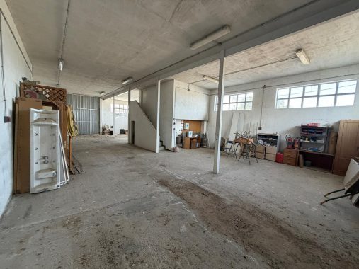 PHOTO-2026-04-20-18-06-54_8