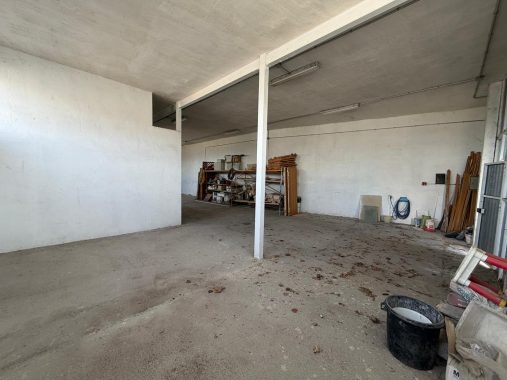 PHOTO-2026-04-20-18-06-55_1