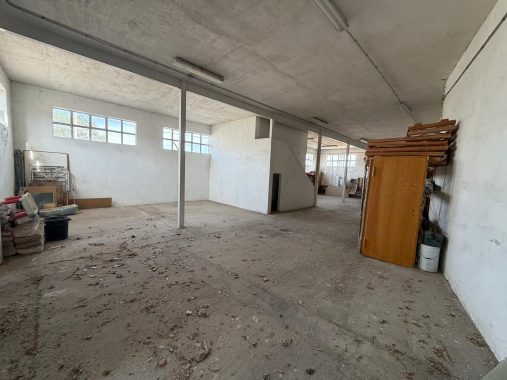 PHOTO-2026-04-20-18-06-55_2