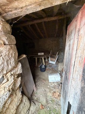 PHOTO-2026-04-21-13-04-56_3