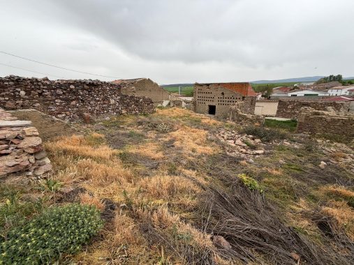 PHOTO-2026-04-21-13-21-38 (2)